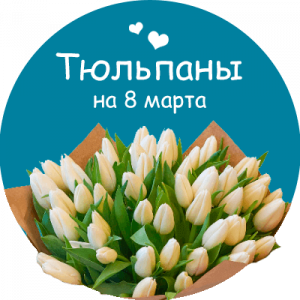 Купить тюльпаны в Шебекино